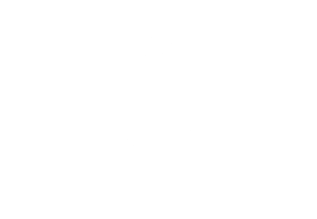 icon fleet